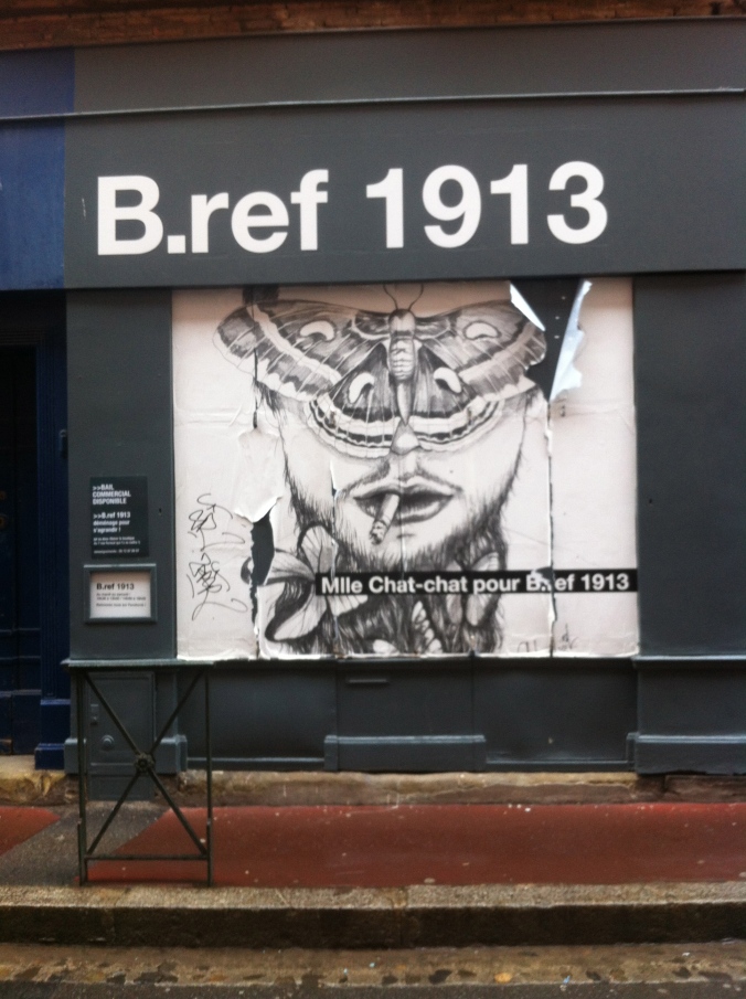 Rue Fermat, 31000, Toulouse (14 janvier 2014)